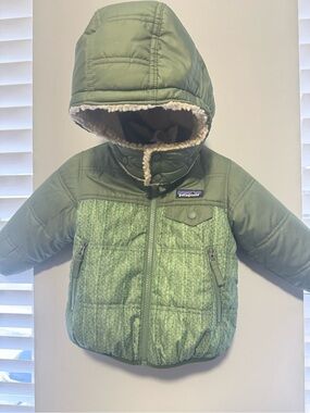 Patagonia Green Hooded Insulated Jacket